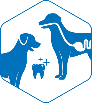 Zahn Verdauung Icon